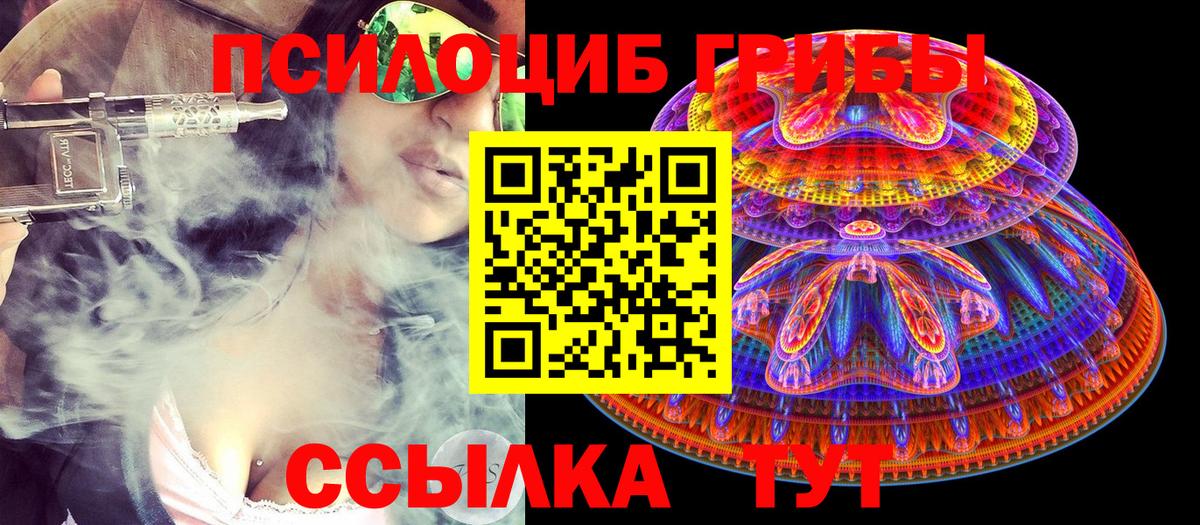 Псилоцибиновые грибы MAGIC MUSHROOMS  Вход с VPN  Троицк 